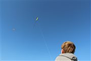 img 3439