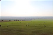 img 3452