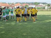 CIKI CUP 2013
