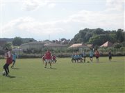 img 4104