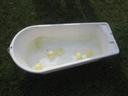 img 4746