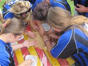 img 4812