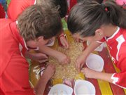 img 4813