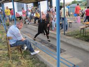 img 4859