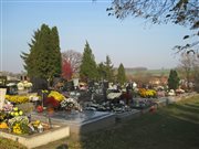 img 1951