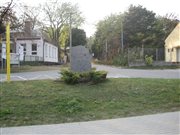 img 2019