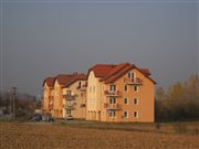 img 2039