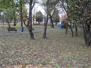 Park