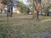 img 1987