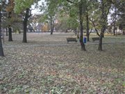 img 1996