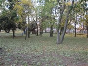 img 1997
