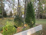 img 1998