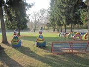 img 1941