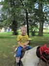 img 3747