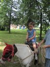 img 3752