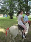 img 3754