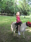 img 3756