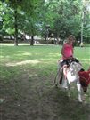 img 3757