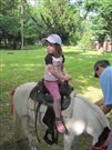 img 3758