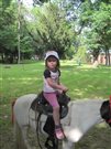 img 3759