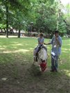 img 3761