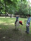 img 3762