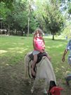 img 3764