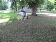 img 3782