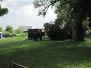 img 8044