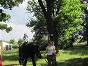 img 8051