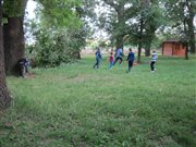 img 8151
