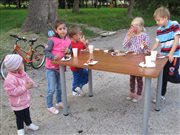 img 8159