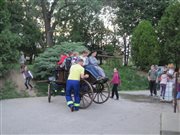 img 8199
