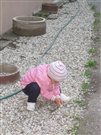 img 8217