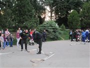 img 8225
