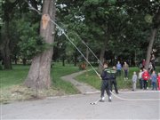 img 8228