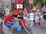 img 4231