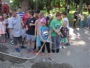 img 4236