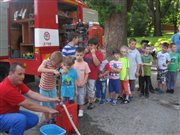 img 4249