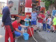 img 4253