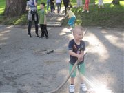 img 4267