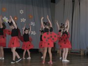 img 7220
