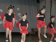 img 7221