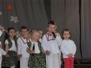 img 7252