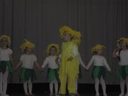 img 3467