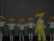 img 3468