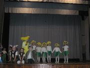 img 3481