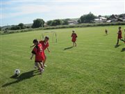 img 3926