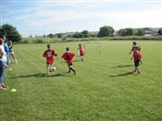 img 3931