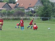 img 9545